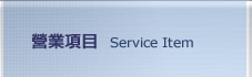 營業項目 Service Item